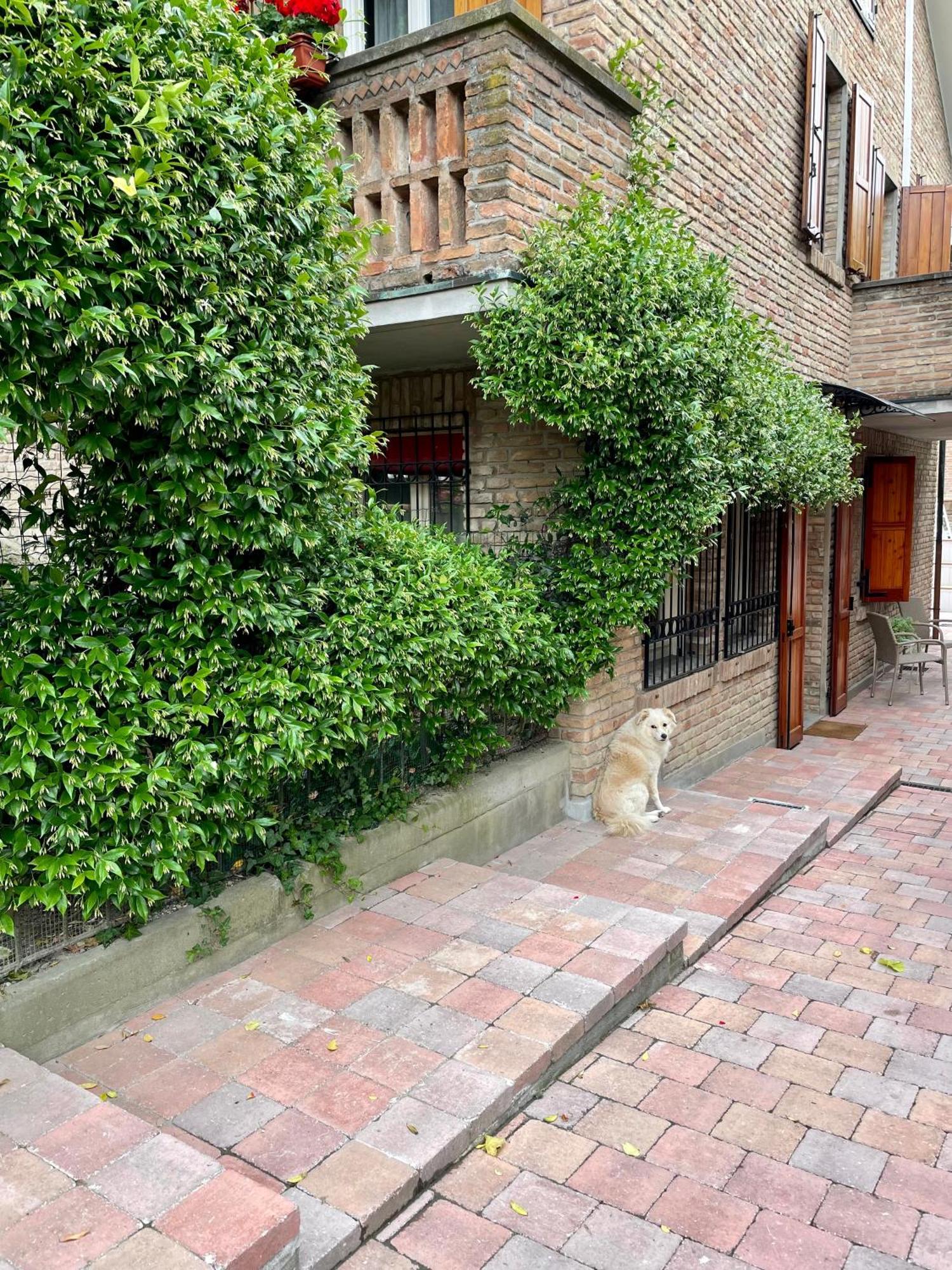 Casa Matilde Piano Terra 100Mq Con Parking E Piscina Apartman Ferrara Kültér fotó